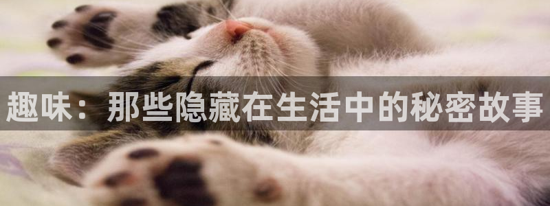 糖果派对必赢