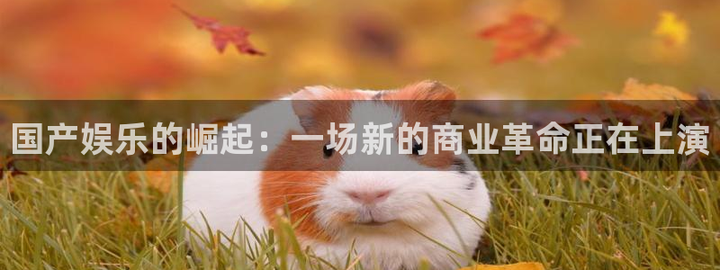 糖果派对200倍