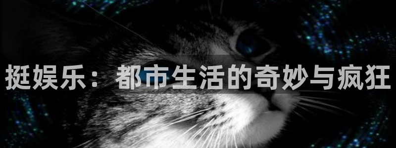 澳门电子游戏糖果派对